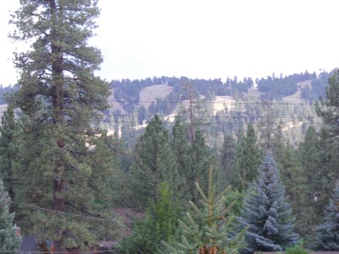 328 Oriole Dr, Big Bear Lake, CA 92315 photo 4