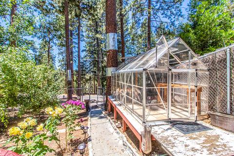 26580 Crestview Dr, Idyllwild, CA 92549 photo 5