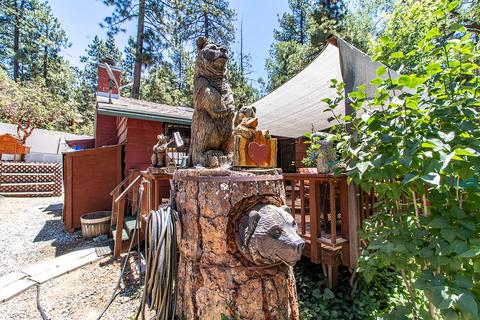 26580 Crestview Dr, Idyllwild, CA 92549 photo 9