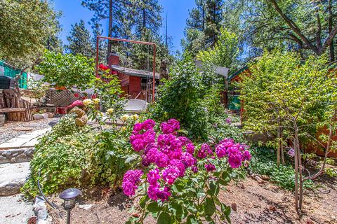 26580 Crestview Dr, Idyllwild, CA 92549 photo 2