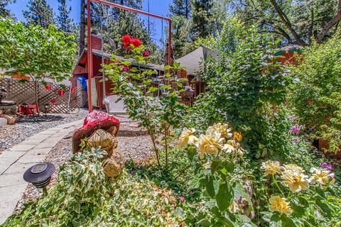 26580 Crestview Dr, Idyllwild, CA 92549 photo 3