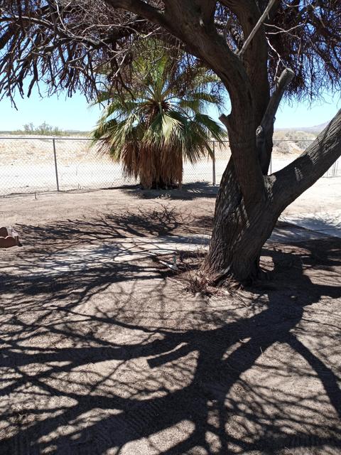 3347 Cal Ave, Thermal, CA 92274 photo 7