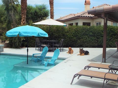 40797 Paganini Dr, Indio, CA 92203 photo 10