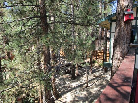 712 Sunset Ln, Sugarloaf, CA 92386 photo 19