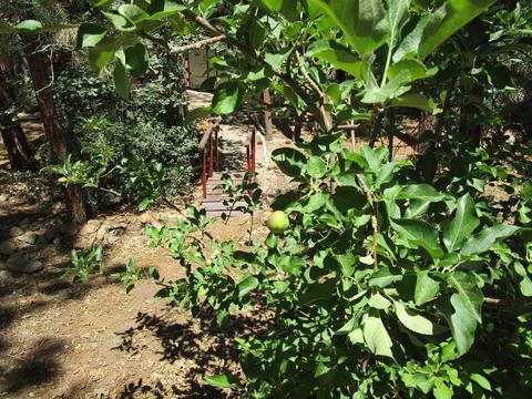 712 Sunset Ln, Sugarloaf, CA 92386 photo 35