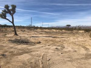 7282 Olympic Rd, Joshua Tree, CA 92252 photo 1