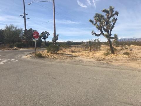 7282 Olympic Rd, Joshua Tree, CA 92252 photo 2