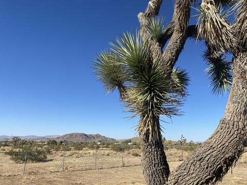 335 Landers Ln, Landers, CA 92285 photo 29
