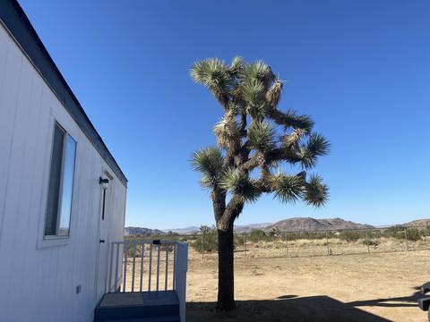 335 Landers Ln, Landers, CA 92285 photo 30