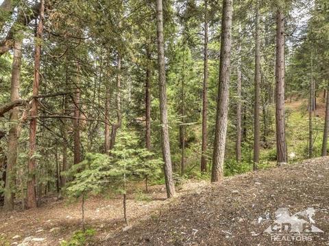 411 Annandale Dr, Lake Arrowhead, CA 92352 photo 32
