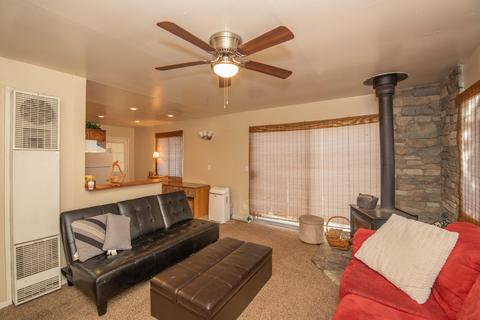 161 Maple Ln, Sugarloaf, CA 92386 photo 5