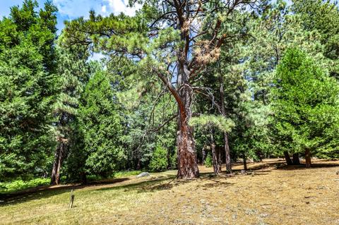 25891 Wayne Rd, Idyllwild, CA 92549 photo 52