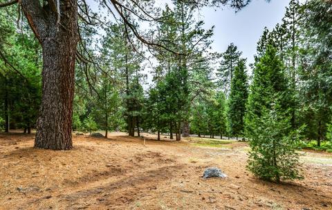 25891 Wayne Rd, Idyllwild, CA 92549 photo 49