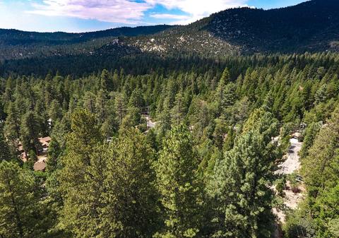 25891 Wayne Rd, Idyllwild, CA 92549 photo 72