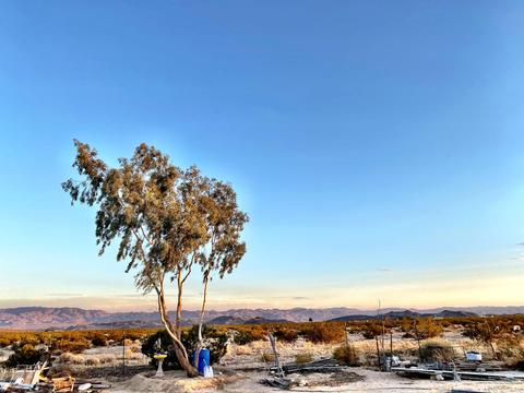 66855 Winters Rd, Joshua Tree, CA 92252 photo 7