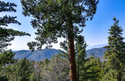 25301 Deer Path Rd, Idyllwild, CA 92549 photo 51