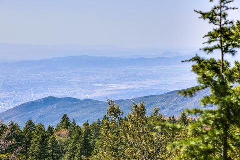 25301 Deer Path Rd, Idyllwild, CA 92549 photo 50