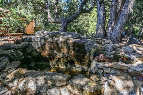 25301 Deer Path Rd, Idyllwild, CA 92549 photo 9