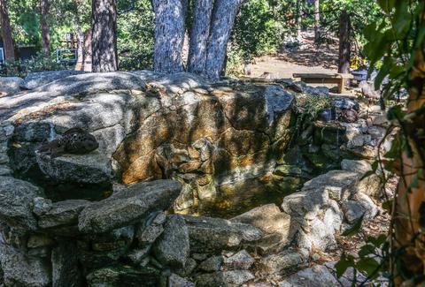 25301 Deer Path Rd, Idyllwild, CA 92549 photo 10