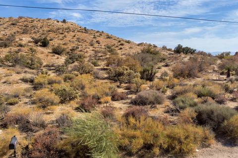 48959 Paradise Ave, Morongo Valley, CA 92256 photo 41