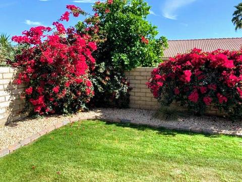 82577 Delano Dr, Indio, CA 92201 photo 19