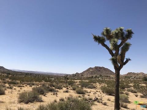62772 Quail Springs Rd, Joshua Tree, CA 92252 photo 4