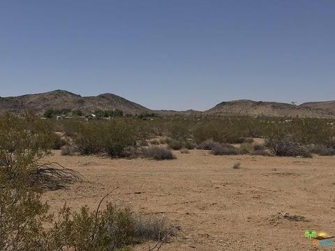 62772 Quail Springs Rd, Joshua Tree, CA 92252 photo 5