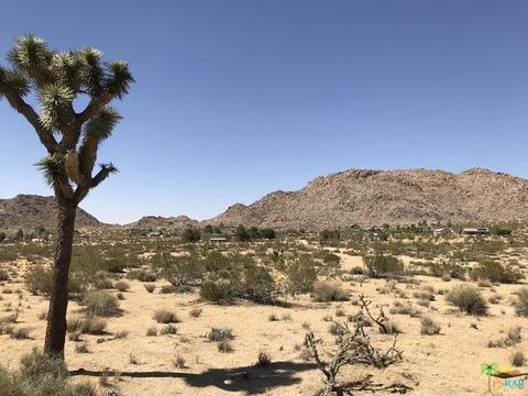 62772 Quail Springs Rd, Joshua Tree, CA 92252 photo 6