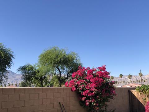 81291 Geranium Ave, Indio, CA 92201 photo 23