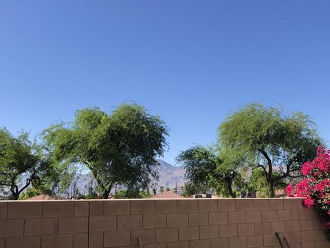 81291 Geranium Ave, Indio, CA 92201 photo 22