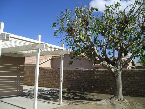 80637 Veranda Ln, Indio, CA 92201 photo 32