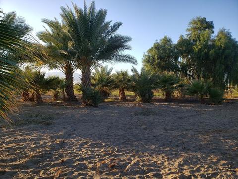 75655 Pierce St, Thermal, CA 92274 photo 1