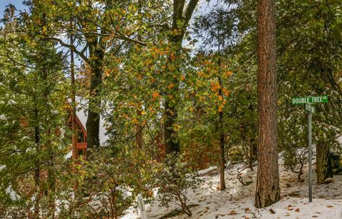 25601 Double Tree Dr, Idyllwild, CA 92549 photo 2