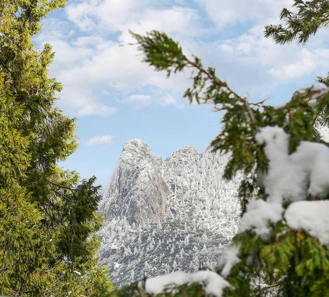 25601 Double Tree Dr, Idyllwild, CA 92549 photo 13