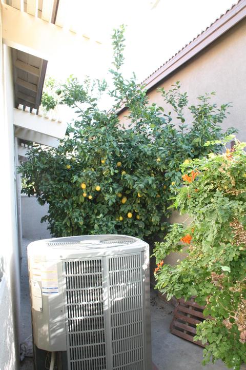 49771 Newman Cir, Indio, CA 92201 photo 49