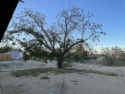 60618 Pueblo Trl, Joshua Tree, CA 92252 photo 21