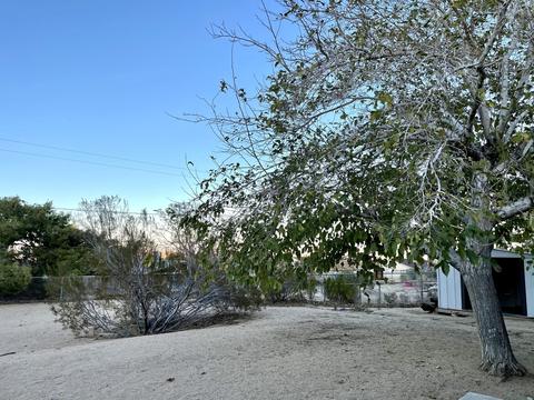 60618 Pueblo Trl, Joshua Tree, CA 92252 photo 24