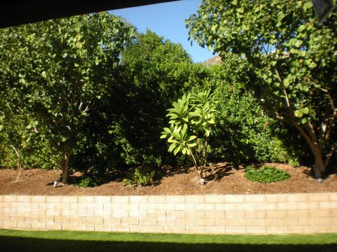 82912 Rustic Valley Dr, Indio, CA 92203 photo 21