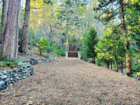 27147 Little Bear Rd, Lake Arrowhead, CA 92317 photo 39