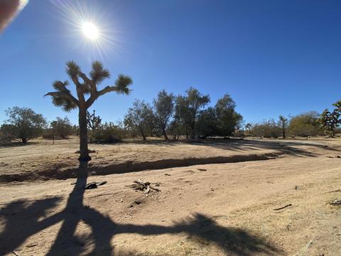 57879 Pajara Dr, Yucca Valley, CA 92284 photo 1