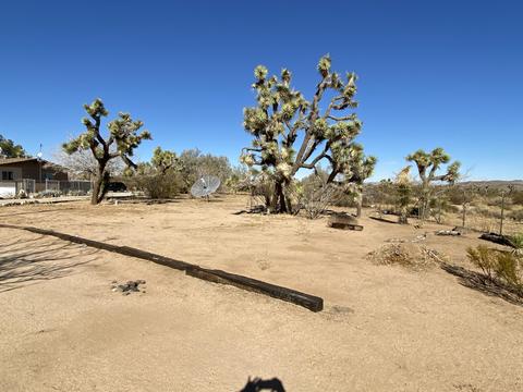 57879 Pajara Dr, Yucca Valley, CA 92284 photo 10