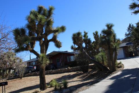 56865 Ivanhoe Dr, Yucca Valley, CA 92284 photo 9