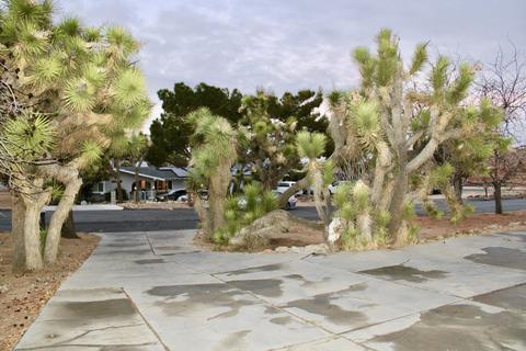 56865 Ivanhoe Dr, Yucca Valley, CA 92284 photo 19