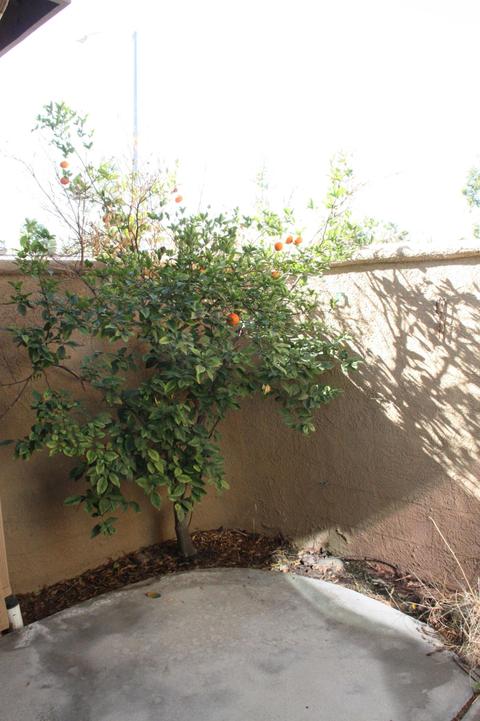 82780 Field Ln, Indio, CA 92201 photo 60
