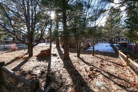 44398 Silver Pine Rd, Sugarloaf, CA 92386 photo 24