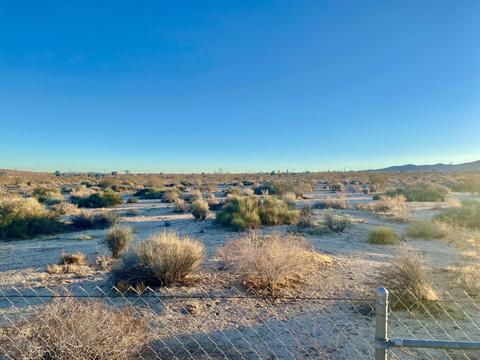 4033 Sheridan Rd, Landers, CA 92285 photo 17