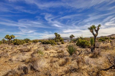 8974 Dulce Ave, Yucca Valley, CA 92284 photo 35