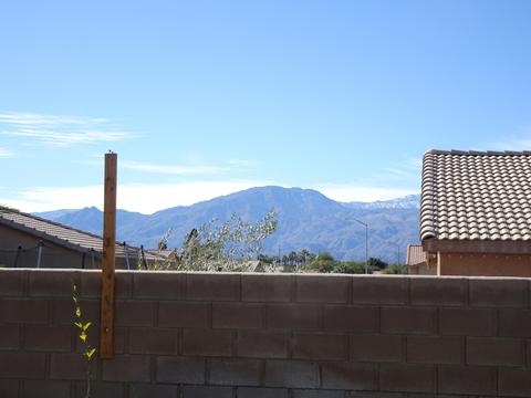 83215 Albion Dr, Indio, CA 92201 photo 9