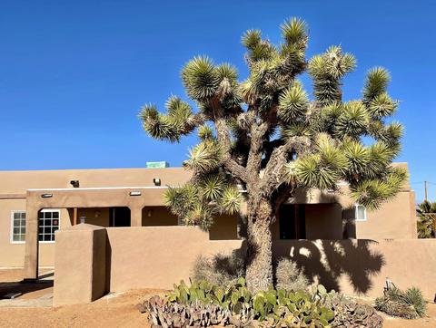 329 Jemez Trl, Yucca Valley, CA 92284 photo 3
