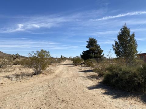 59131 Lorraine Rd, Landers, CA 92285 photo 18